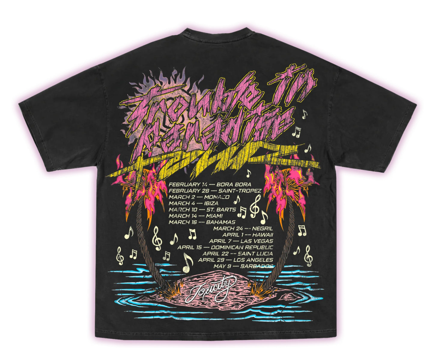 TOXICITY: Vintage Tour Graphic Tee (back view)