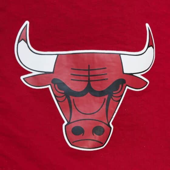 MITCHELL & NESS: NBA Team Heritage woven shorts BULLS (front view close up)